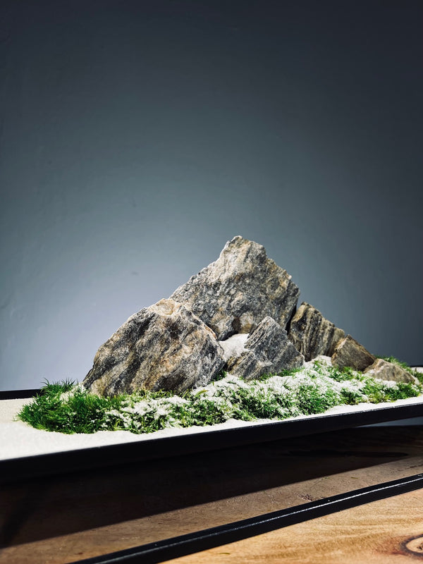 Alpine Meadow - Winter Lake (Preserved Plants)