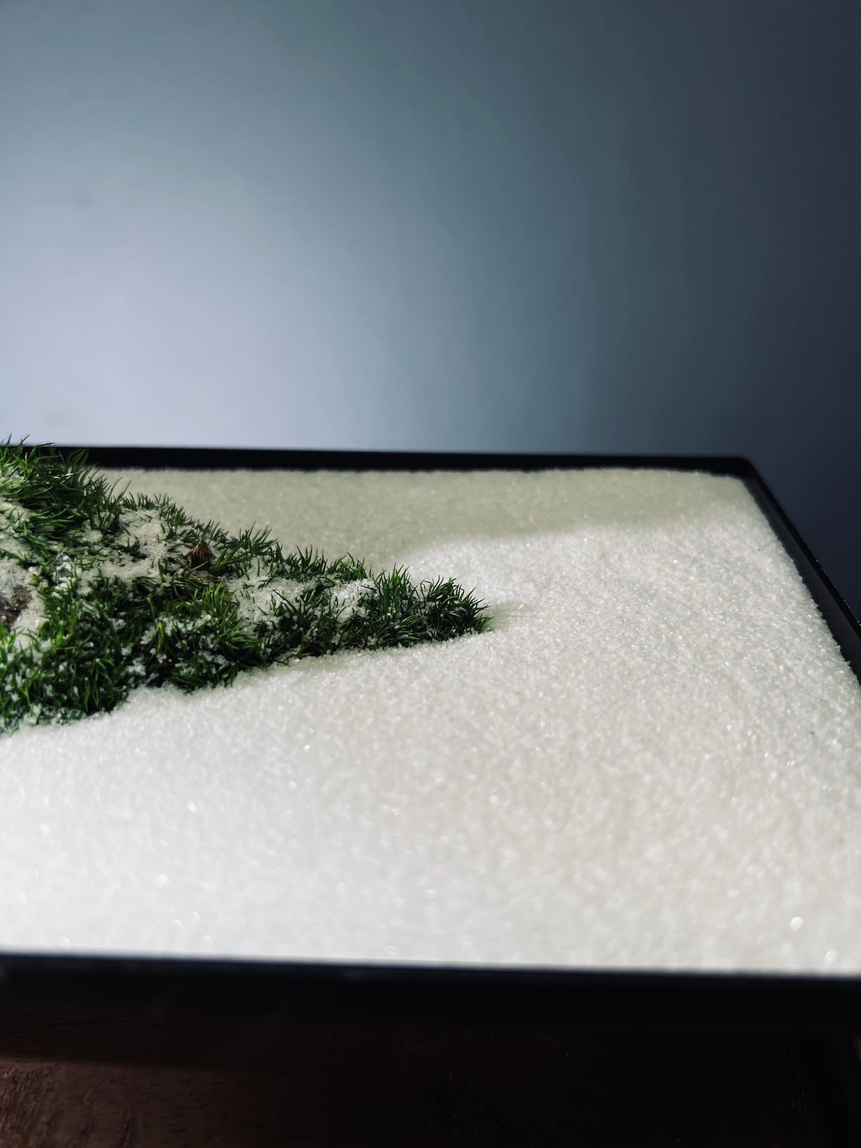 Alpine Meadow - Winter Lake (Preserved Plants)