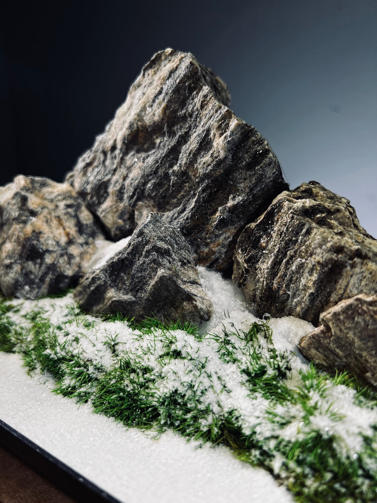 Alpine Meadow - Winter Lake (Preserved Plants)