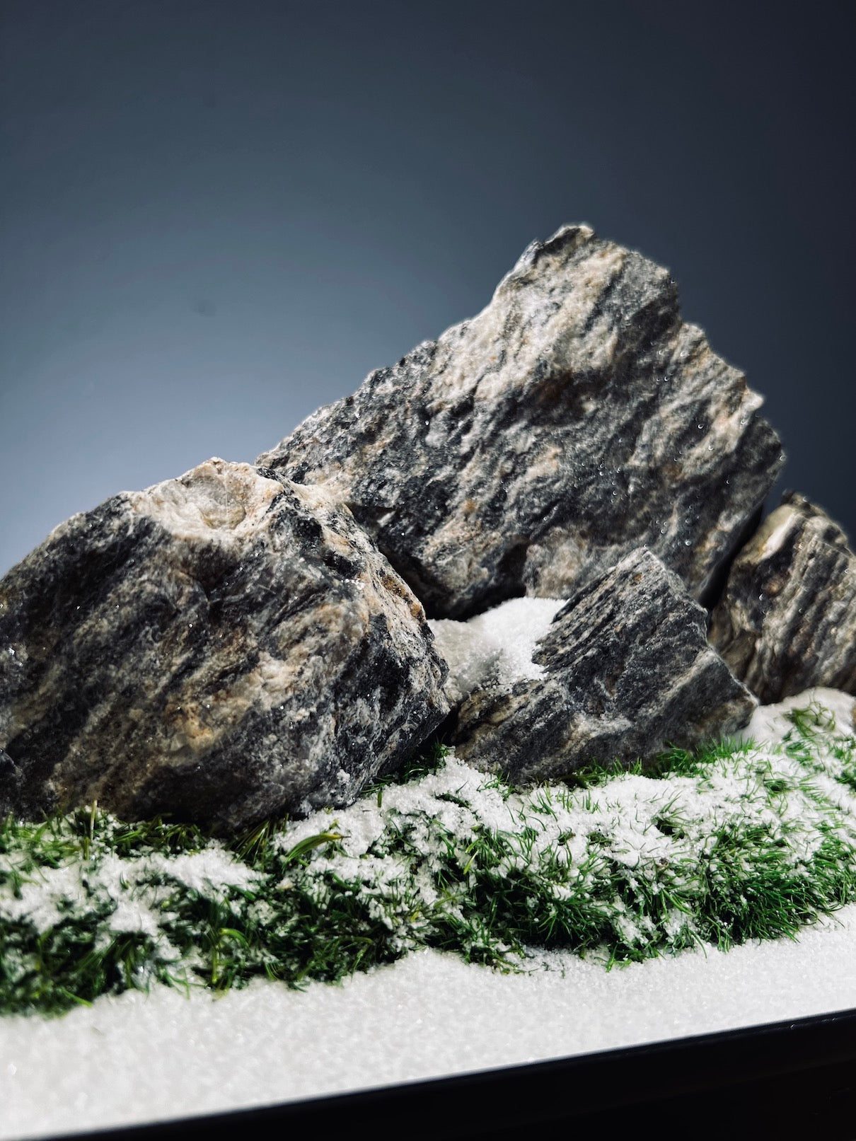 Alpine Meadow - Winter Lake (Preserved Plants)