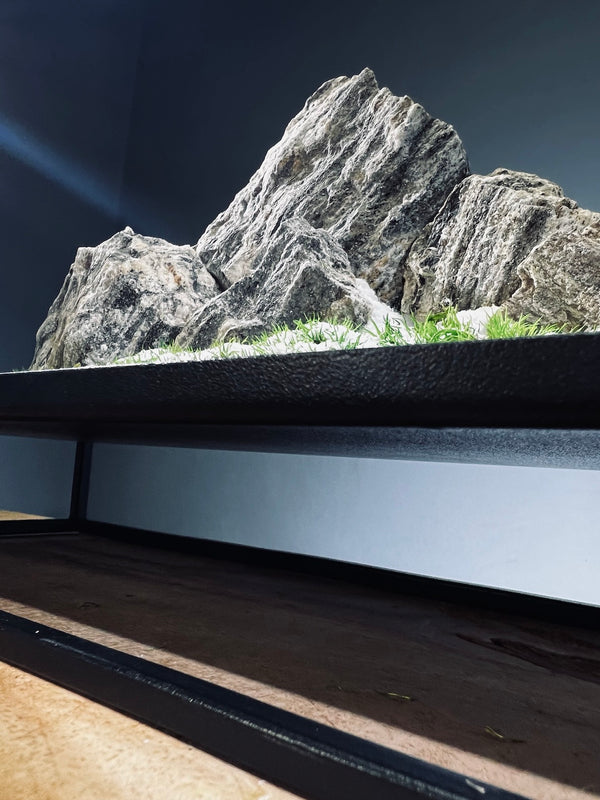 Alpine Meadow - Winter Lake (Preserved Plants)