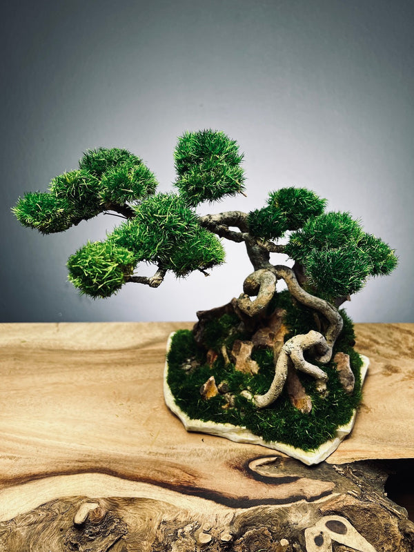 Eagle Rock (Preserved Plants)