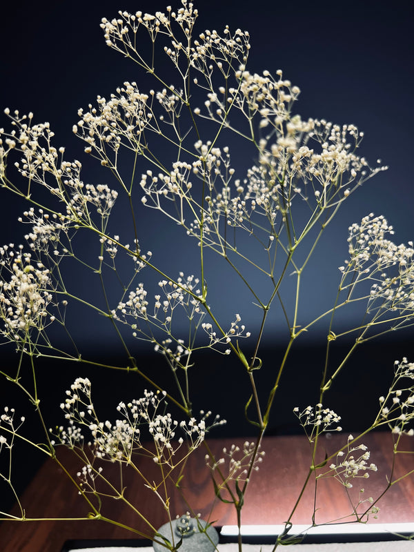 Snowfall - Winter Lake (Preserved Plants)