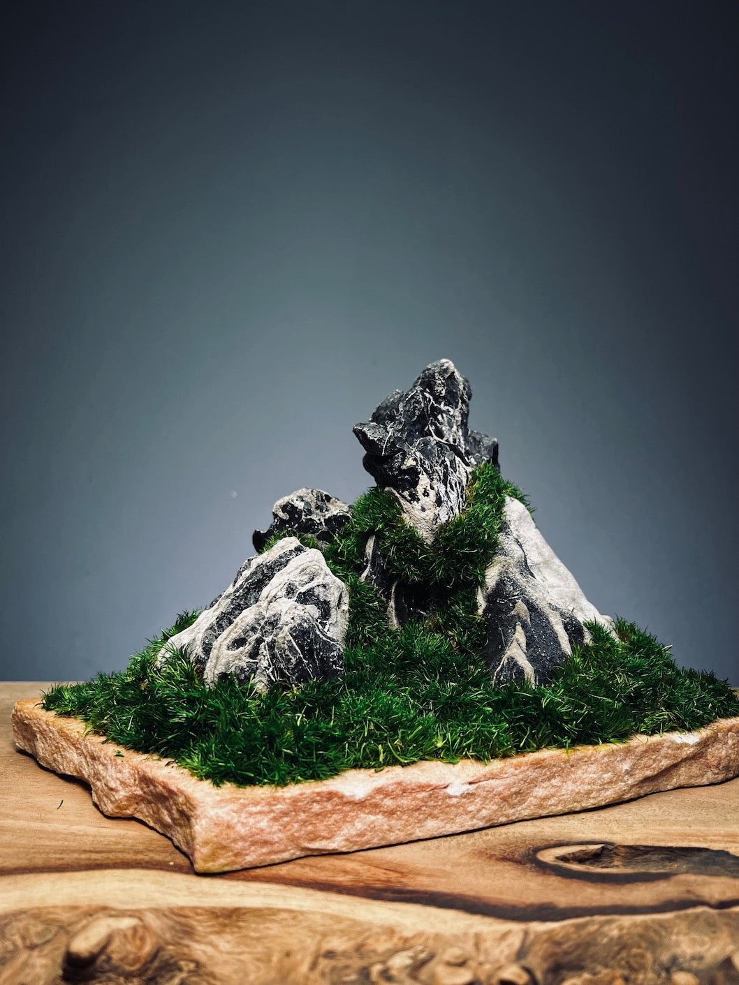 Stormy Hill (Stone Work+Preserved Plant)