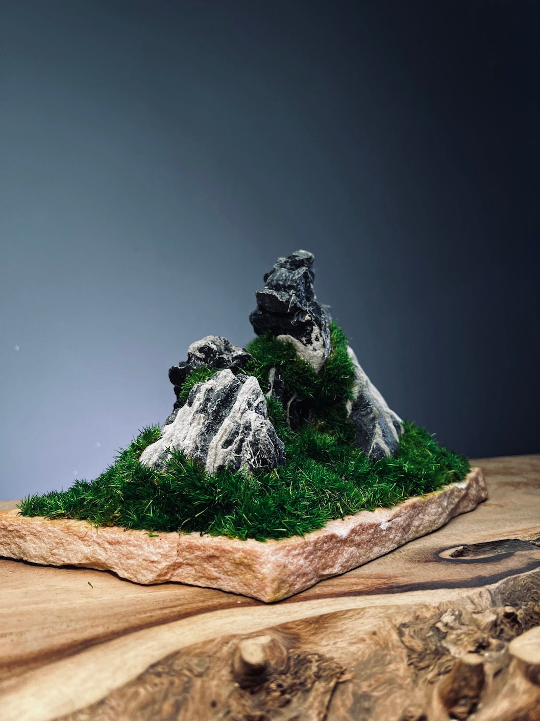 Stormy Hill (Stone Work+Preserved Plant)