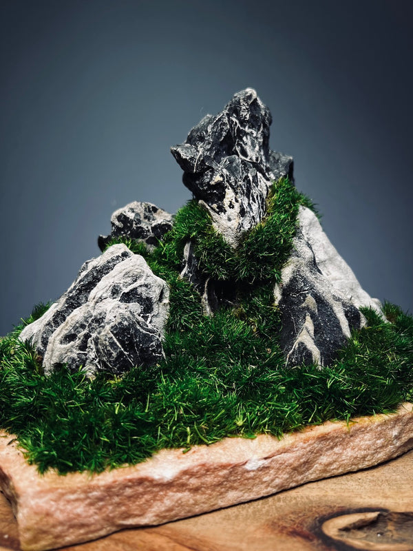 Stormy Hill (Stone Work+Preserved Plant)