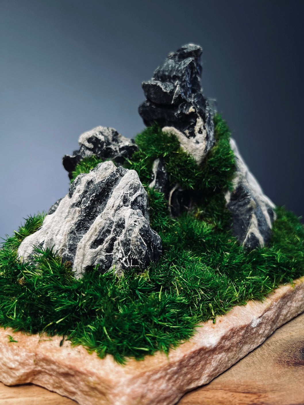 Stormy Hill (Stone Work+Preserved Plant)