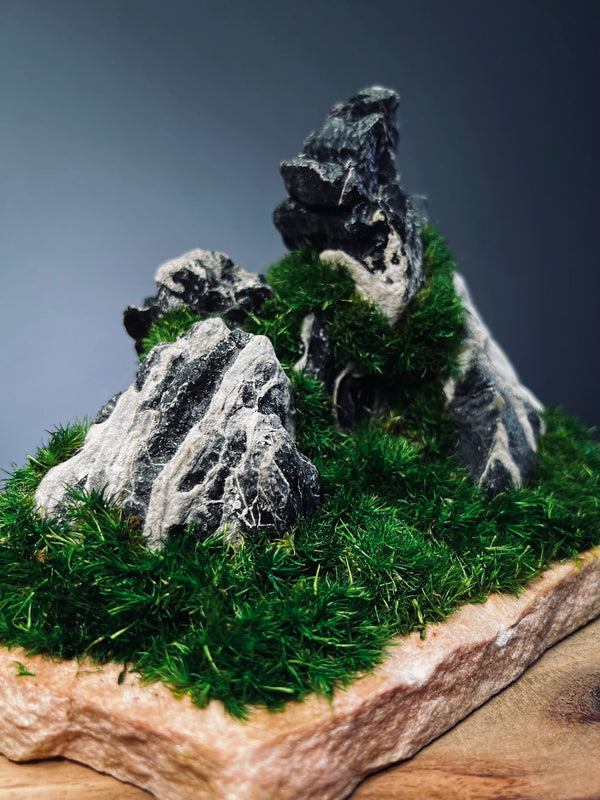 Stormy Hill (Stone Work+Preserved Plant)