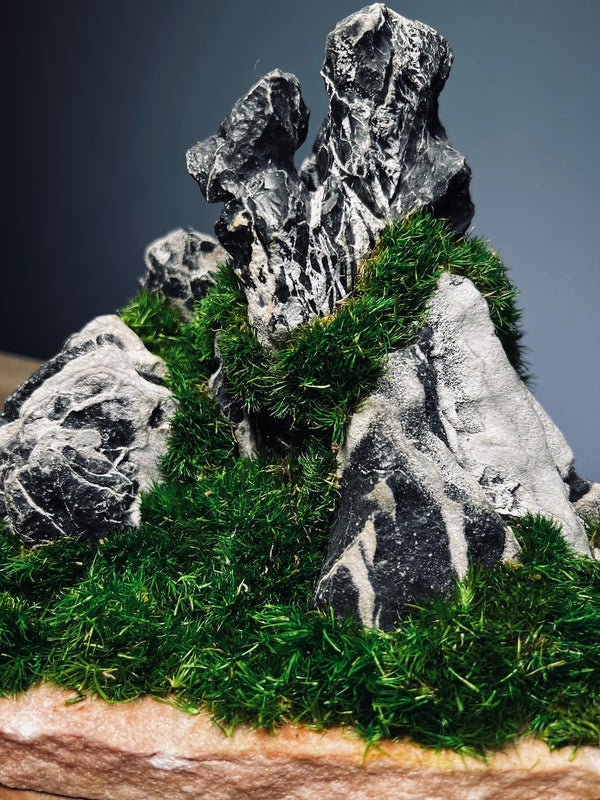 Stormy Hill (Stone Work+Preserved Plant)