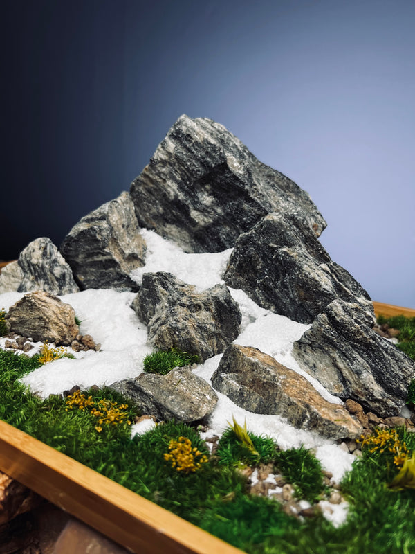 Alpine Meadow - Snowpeak (Preserved Plants)