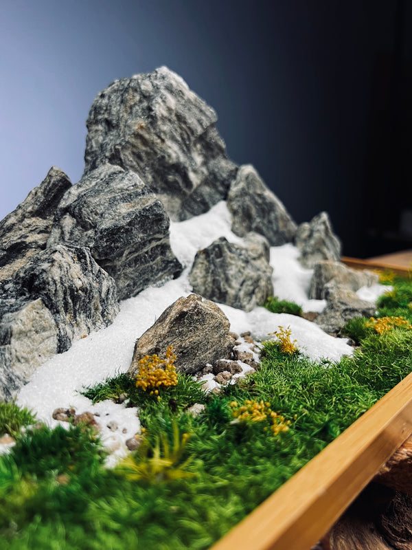 Alpine Meadow - Snowpeak (Preserved Plants)
