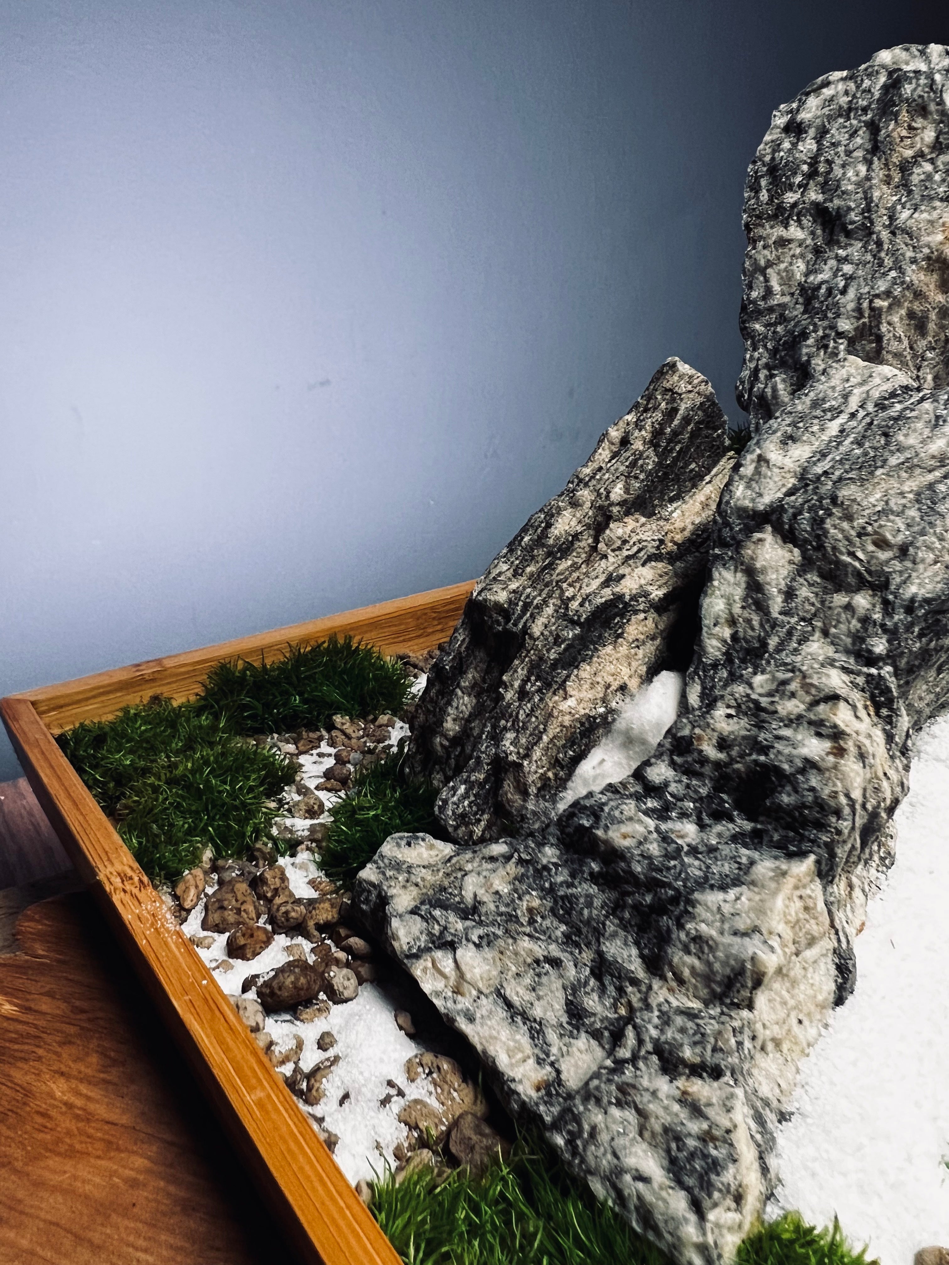 Alpine Meadow - Snowpeak (Preserved Plants)