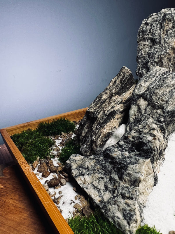Alpine Meadow - Snowpeak (Preserved Plants)