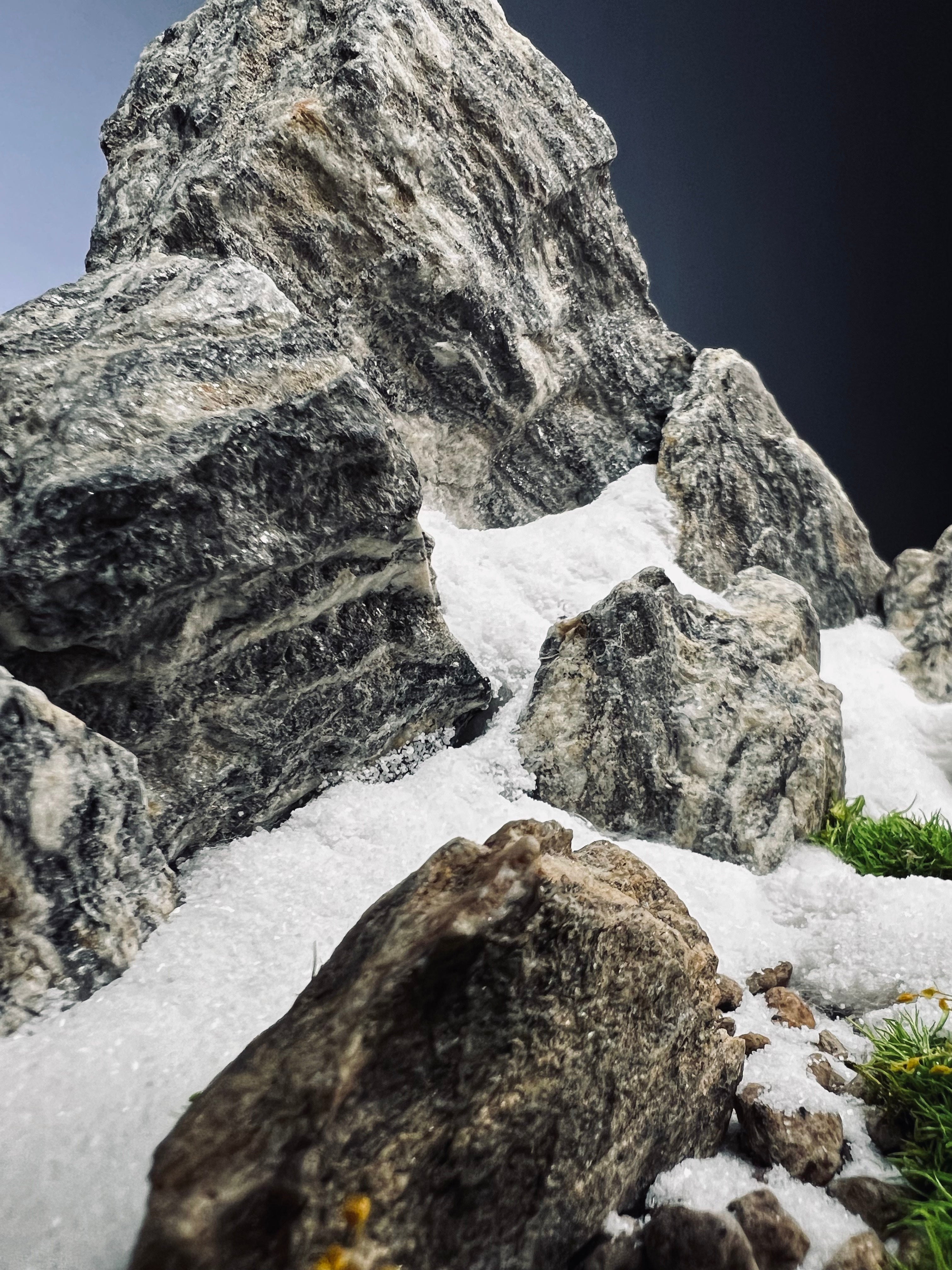 Alpine Meadow - Snowpeak (Preserved Plants)
