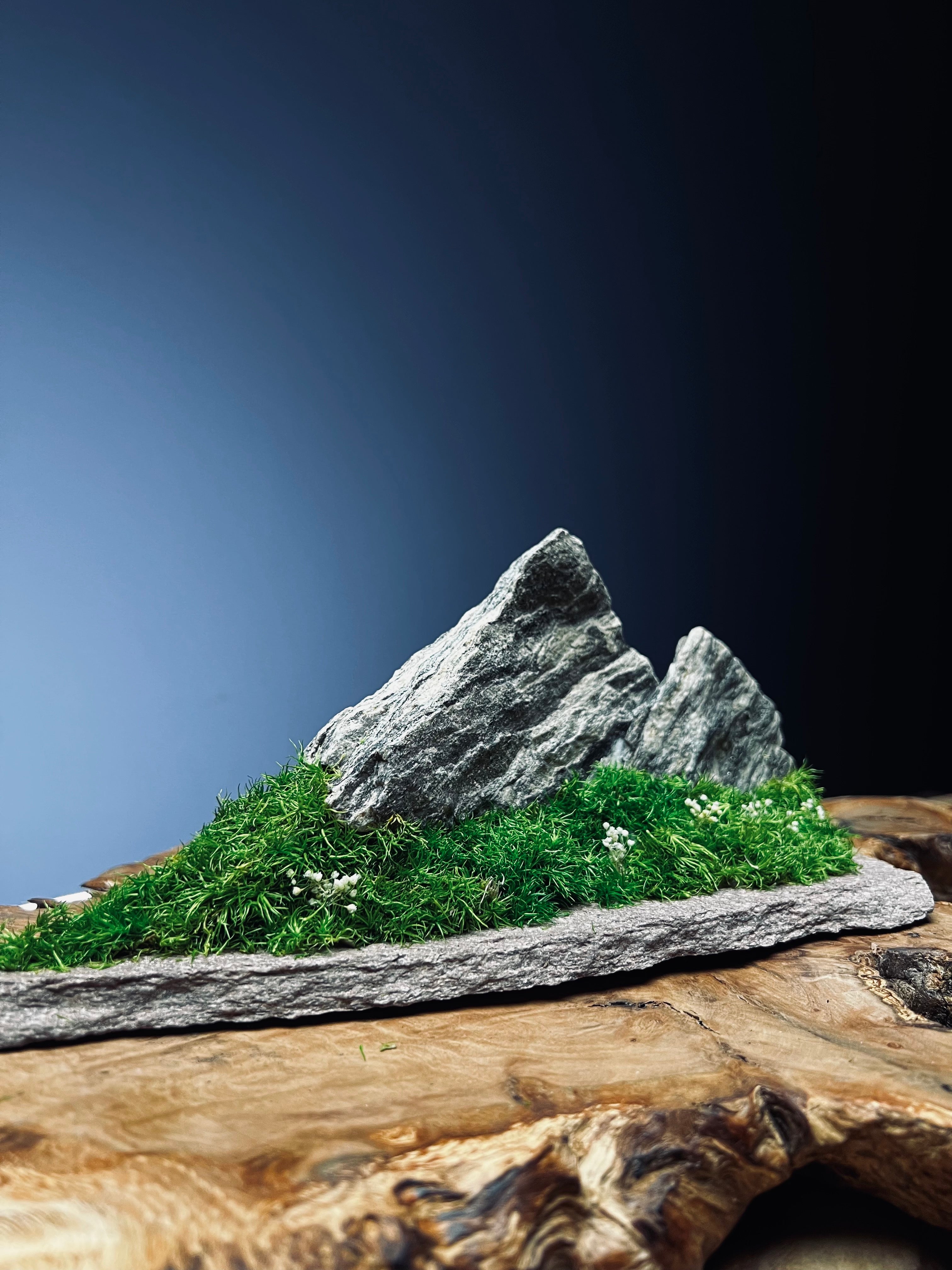 Twin Peaks (Preserved Plants)