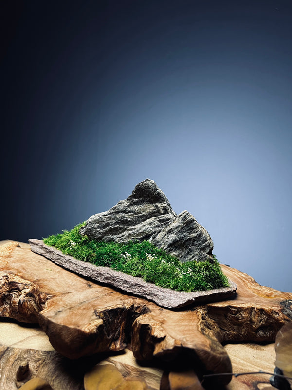 Twin Peaks (Preserved Plants)