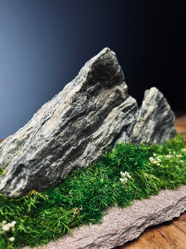 Twin Peaks (Preserved Plants)