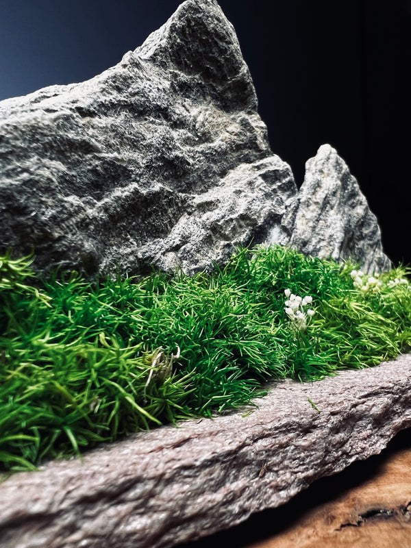 Twin Peaks (Preserved Plants)