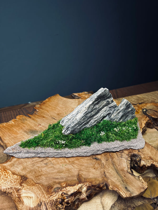 Twin Peaks (Preserved Plants)