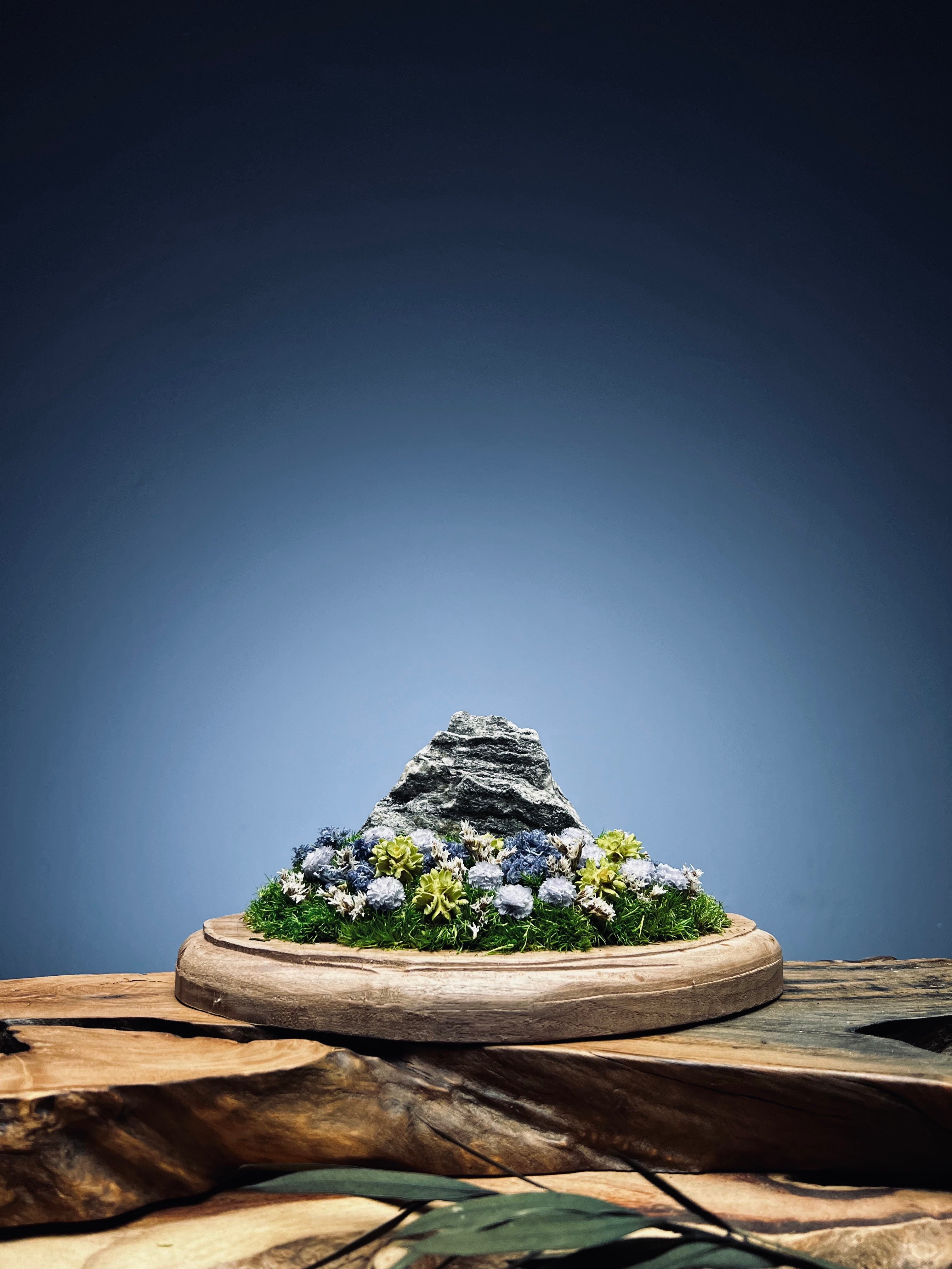 Land of Tender - Smaller version (Preserved Plants)