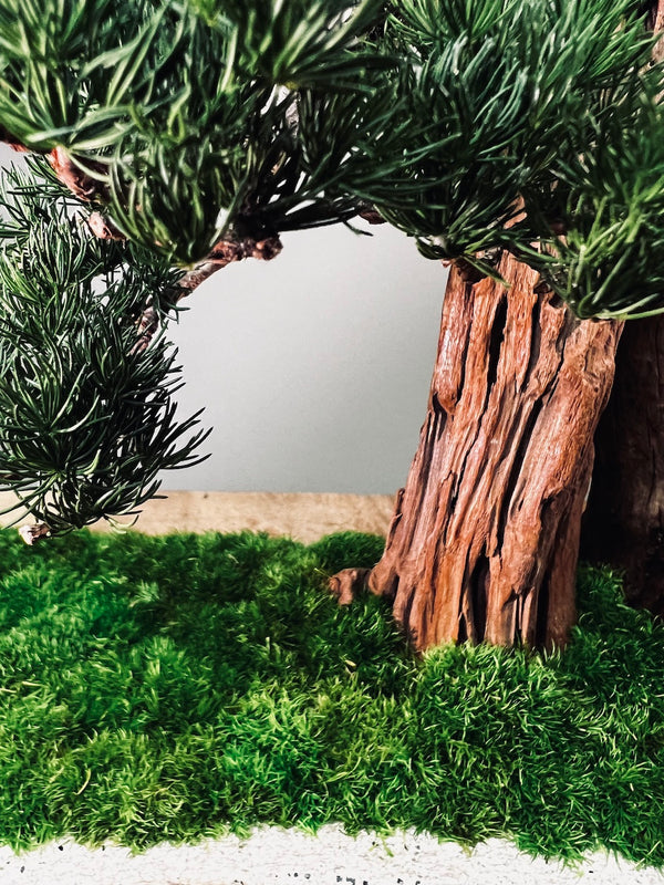 Juniper by the Winding Path - Cliffwood edition (Preserved Plants)