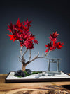 Theatre of Autumn - Flaming Maple (Preserved Plants)