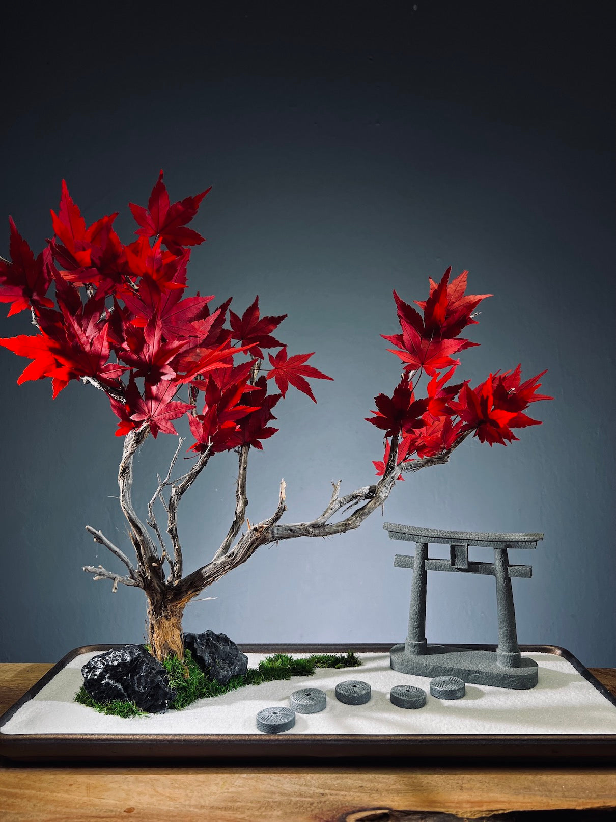 Theatre of Autumn - Flaming Maple (Preserved Plants)