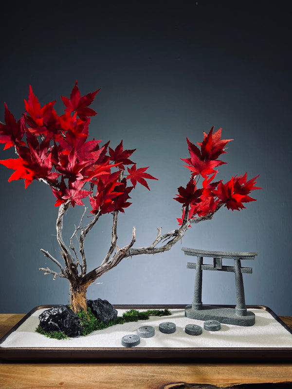 Theatre of Autumn - Flaming Maple (Preserved Plants)