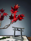 Theatre of Autumn - Flaming Maple (Preserved Plants)
