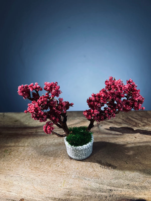 A Small Tree in the East - Teen (Preserved Plants)