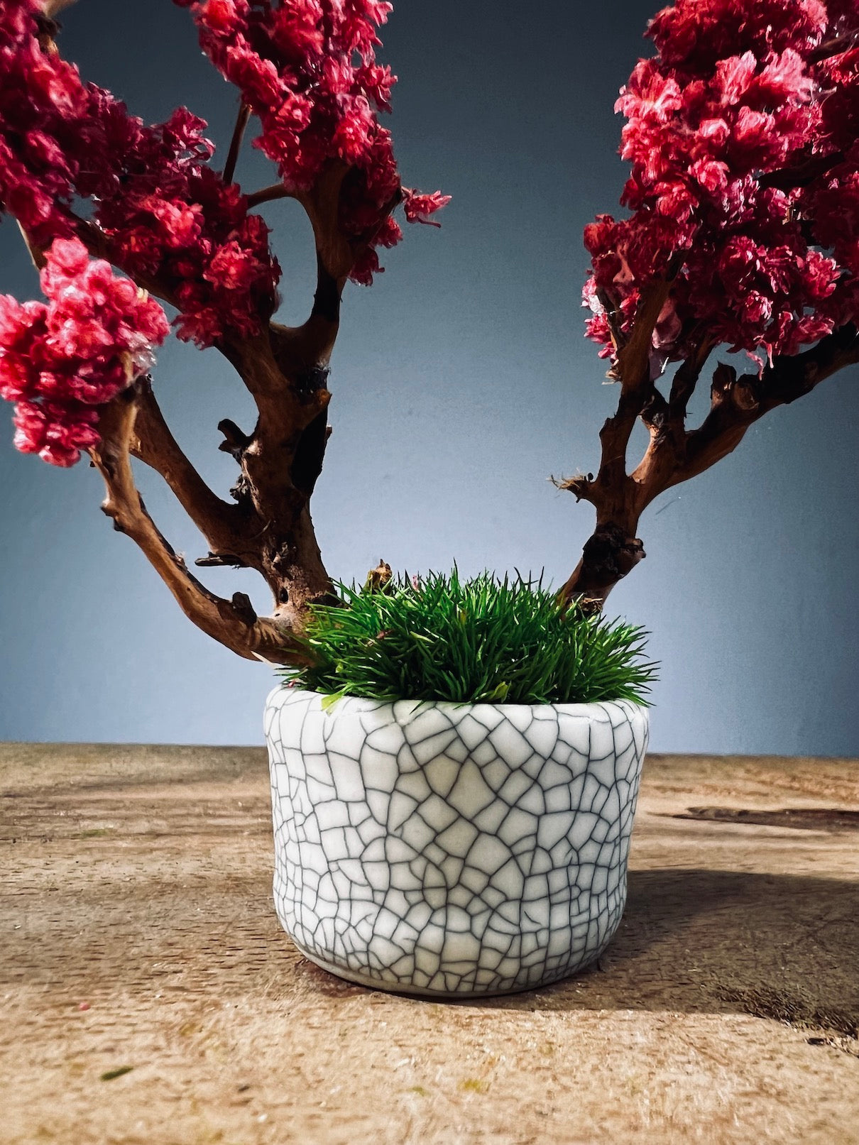 A Small Tree in the East - Teen (Preserved Plants)
