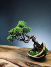 Juniper by the Winding Path - Half Moon (Preserved Plants)
