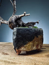 Juniper by the Winding Path - West Wind Moves (Preserved Plants)
