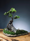 Mistwood - Grace edition (Preserved Plants)