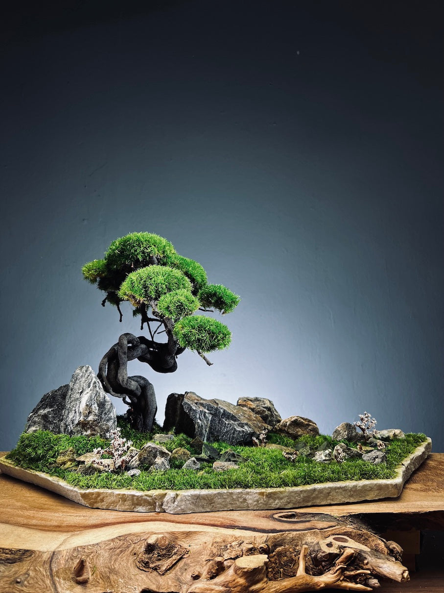 Emerald Hill (Preserved Plants)