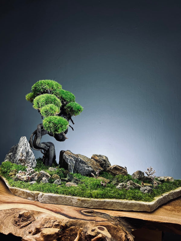 Emerald Hill (Preserved Plants)