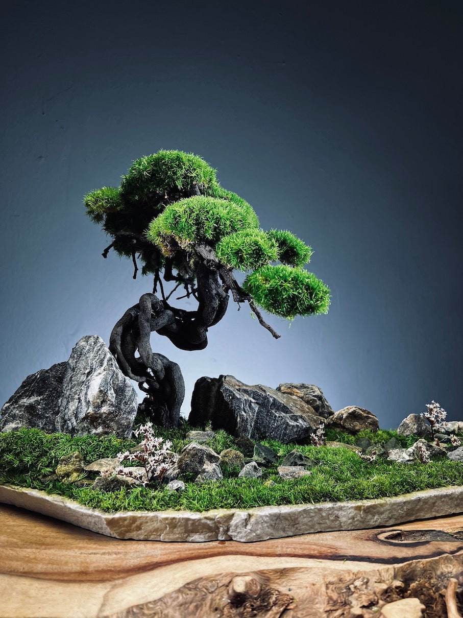 Emerald Hill (Preserved Plants)