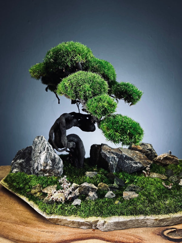 Emerald Hill (Preserved Plants)