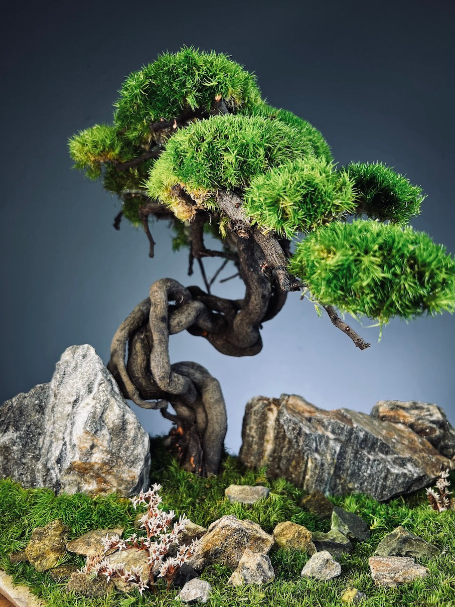 Emerald Hill (Preserved Plants)