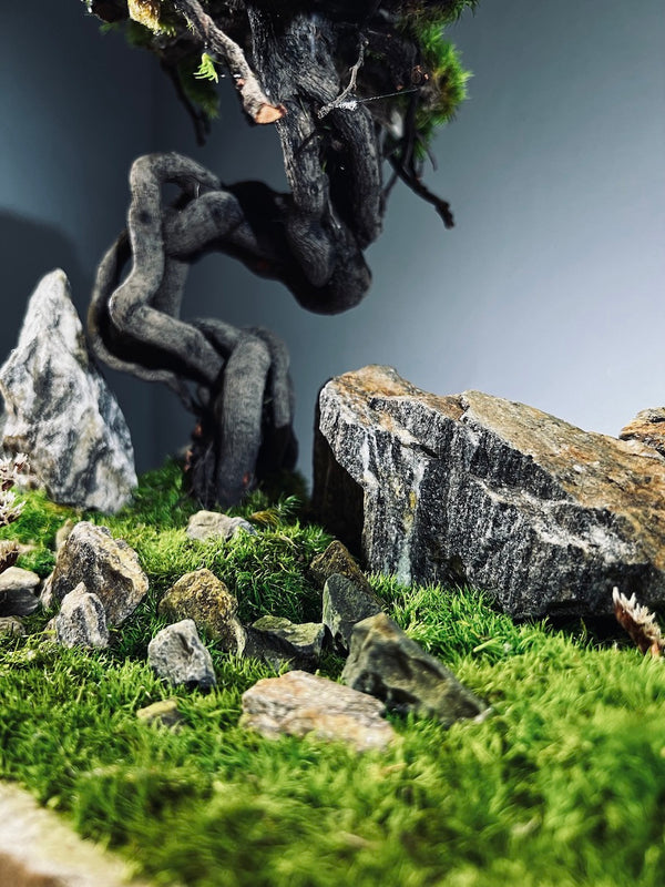 Emerald Hill (Preserved Plants)