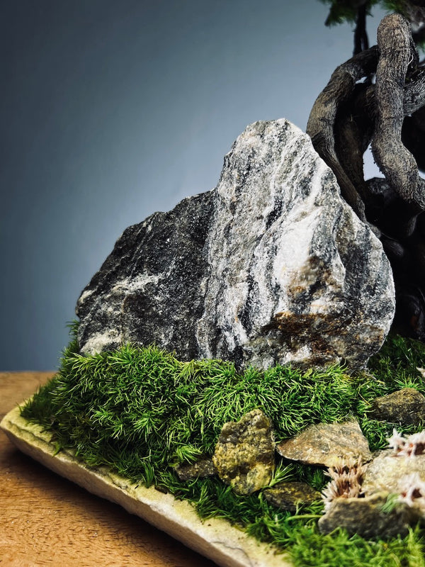 Emerald Hill (Preserved Plants)