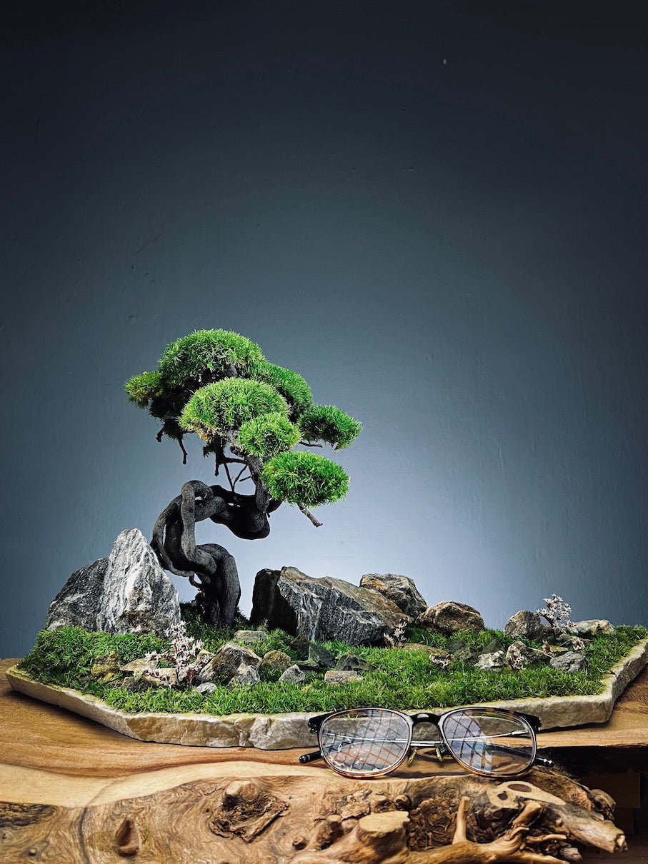 Emerald Hill (Preserved Plants)