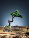 Juniper by the Winding Path (Preserved Plants)