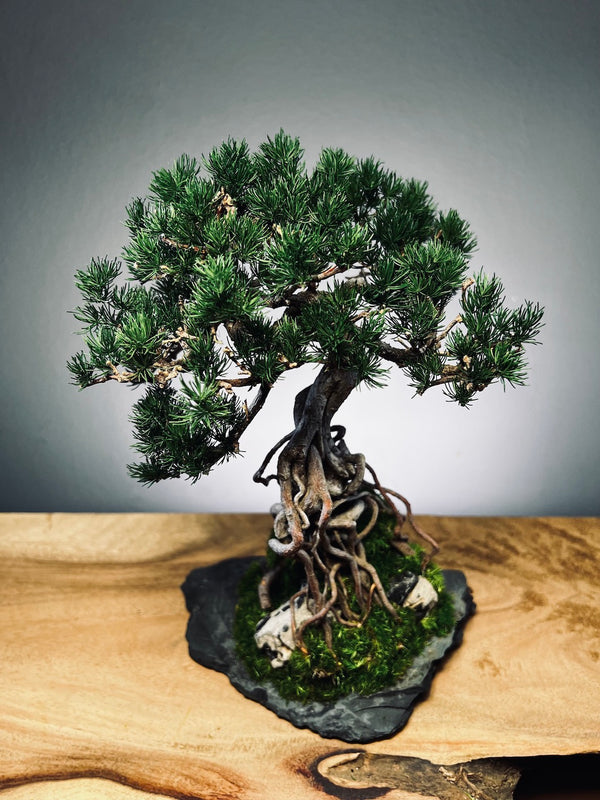 Rise - Stormy Hill edition (Preserved Plants)