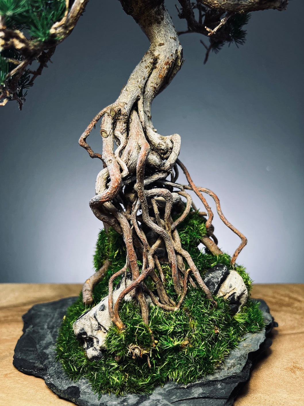 Rise - Stormy Hill edition (Preserved Plants)