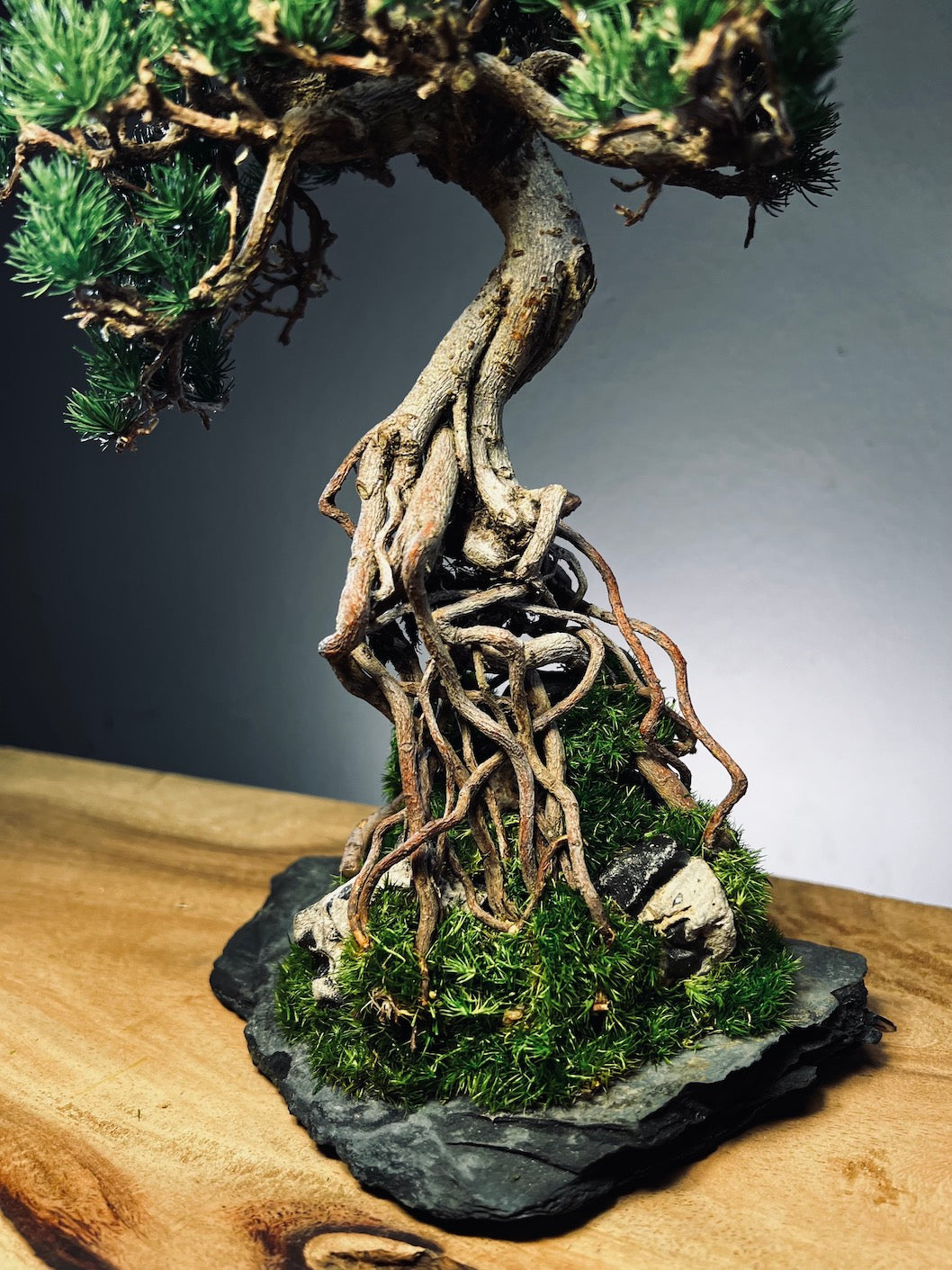 Rise - Stormy Hill edition (Preserved Plants)