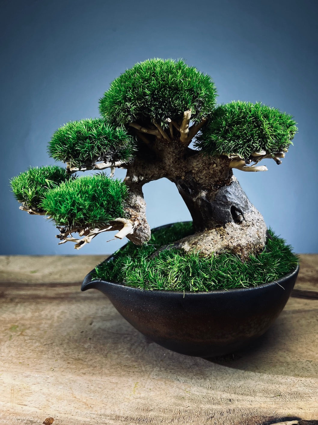 Slow Wood - Young - Garden edition (Preserved Plants)