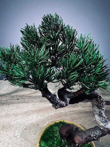 Light in the Garden - Juniper (Preserved Plants)