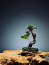 The Windcut Wood - Small version - Raw (Preserved Plants)
