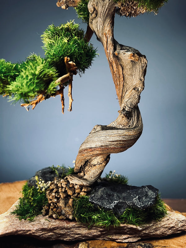 The Windcut Wood - Small version - Raw (Preserved Plants)